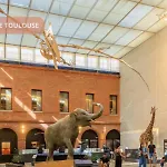 Climatise Canal Du Midi - - Parking Prive - 10 Min Jardin Des Plantes Toulouse