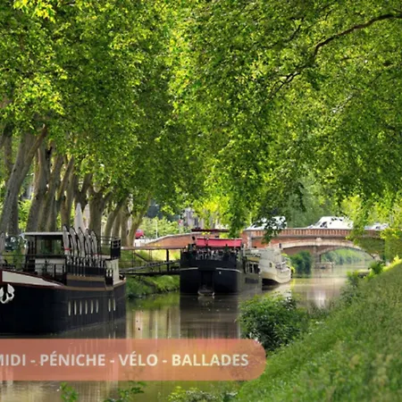 Climatise Canal Du Midi - - Parking Prive - 10 Min Jardin Des Plantes Apartament *