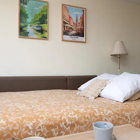 Climatise Canal Du Midi - - Parking Prive - 10 Min Jardin Des Plantes Апартаменты *